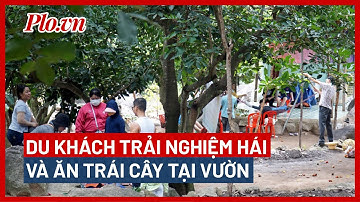 Công an thông tin vụ người đàn ông cầm AK cướp tiệm vàng - PLO