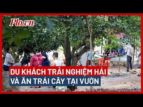 Video Công an thông tin vụ người đàn ông cầm AK cướp tiệm... - youtube