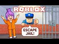 ROBLOX Assistant Must Escape Prison Obby Jail Break Adventure