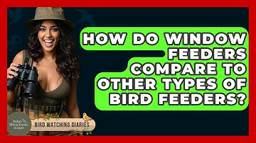 How Do Window Feeders Compare To Other Types Of Bird Feeders? - Bird Watching Diaries