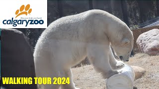 Calgary Zoo 2024  - New Wild Canada area-  Walking Tour - Full Walkthrough - 4k