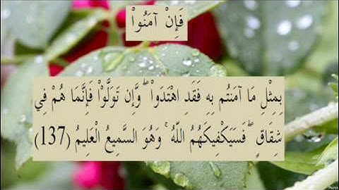 القران الكريم سورة البقرة الاية 137