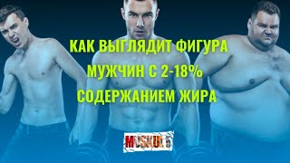 Как разное процентное СОДЕРЖАНИЕ ЖИРА (2% - 18%) выглядит у МУЖЧИН?