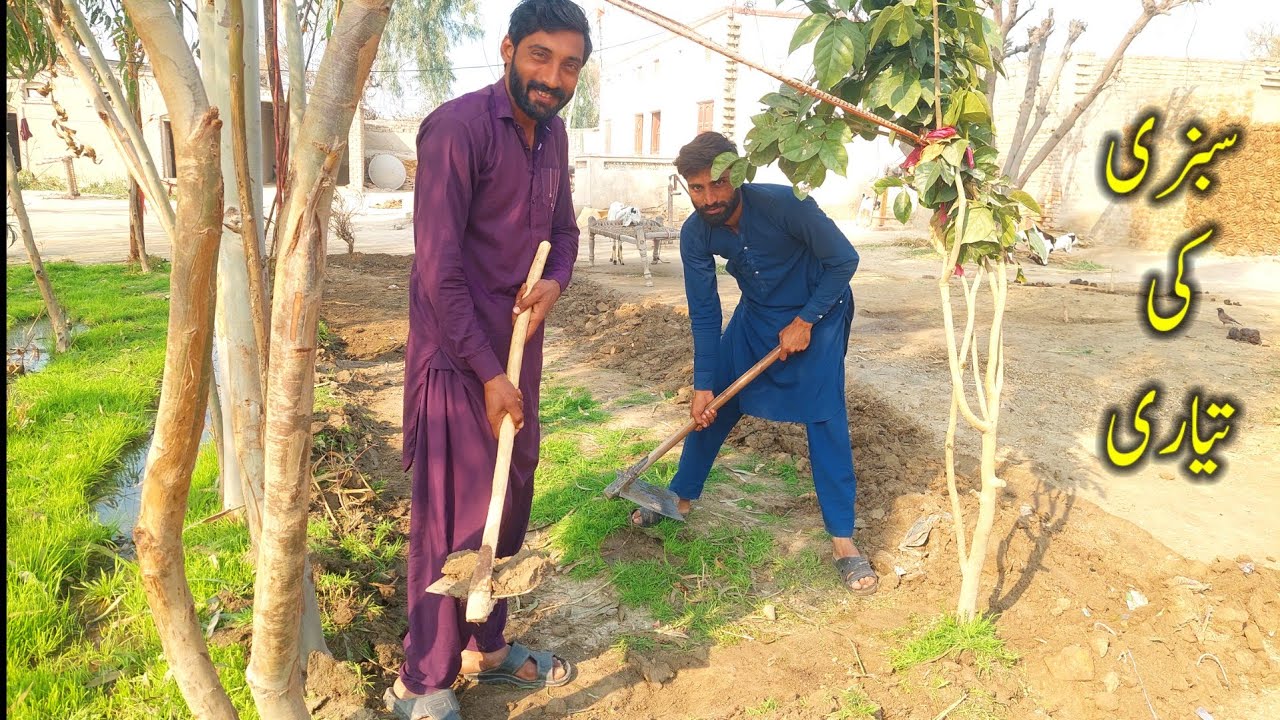 Ghar mein garmiyon ki sabzi ki tayari 🌱 | Gaon ki mehnat bhari zindagi