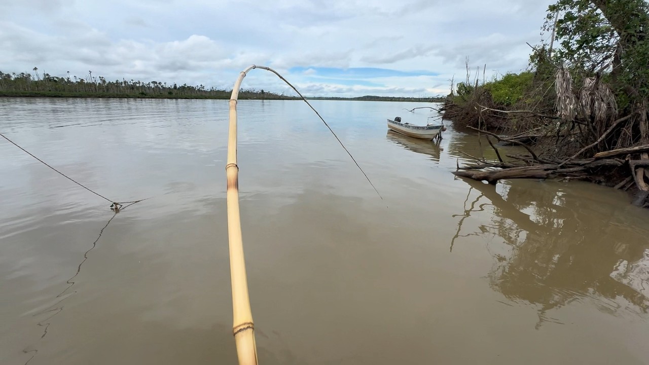 Emocionante Essa pegada na Vara de bambu. Pescaria no Batelão, fomos organizar o Rancho, peixe frito