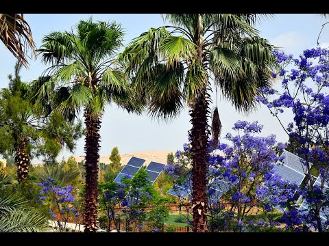 فلم الجامعة التعريفي بالعربي ٢٠٢١
