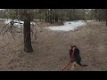 Immersive Walk in Forest with Dog (Mickey), VR 180 6k