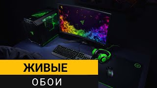 картинка: Живые обои для рабочего стола Windows 10/11.  Простая и удобная программа для установки живых обоев!