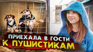 Милана Хаметова - Делаем добрые дела 24 часа Челлендж