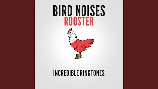 Rooster Sound Effect Ringtone