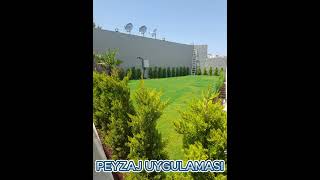 PEYZAJ UYGULAMASI - İZMİR OPTİMUM PEYZAJ #peyzaj #garden #plants #tarım