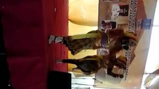 Download Lagu surantang surinting. (juara 1) MP3