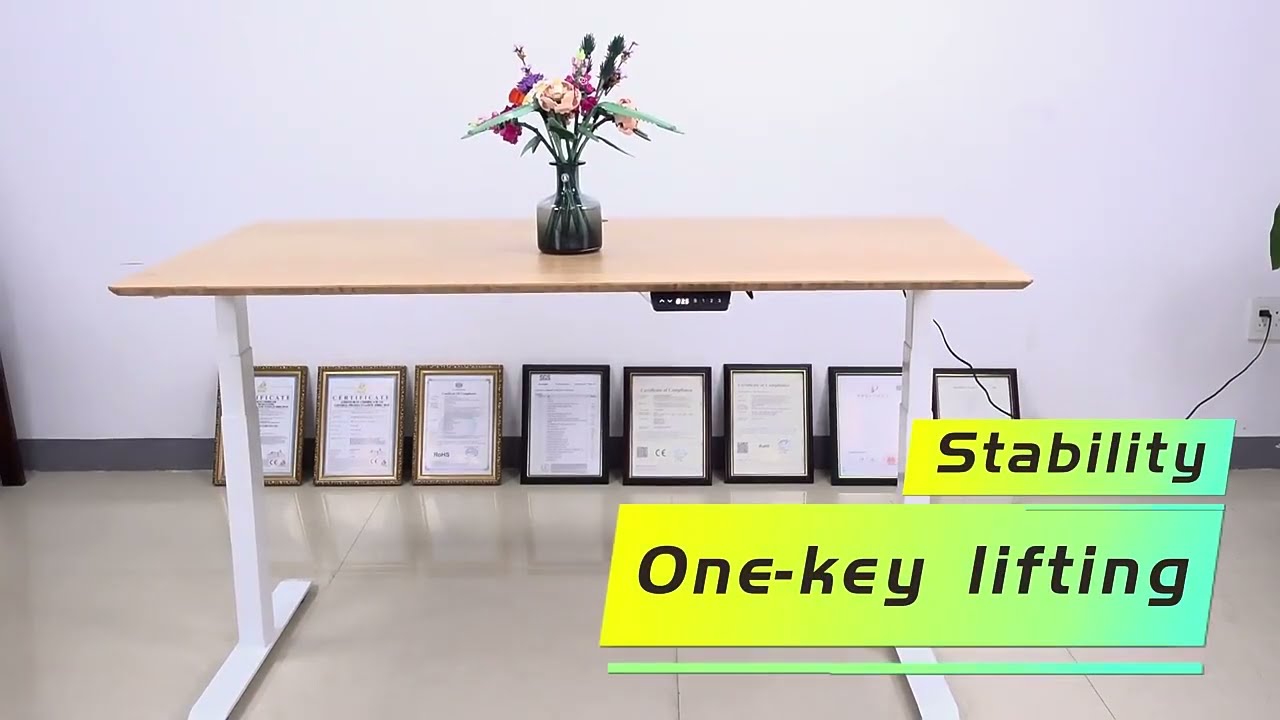 Standing Desk Stability One key  Lifting