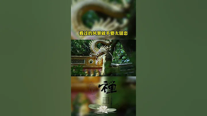有喜有悲才是人生，有苦有甜才是生活#shorts #人生感悟 #国学智慧 - 天天要闻