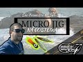 #25 - PESCARIA NA COSTEIRA COM MICRO JIGS - MUITO PEIXE (Loja UNIVERSO FISHING)