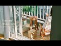 IKEA購入品🛒｜プチプラアイテムで作る居心地の良いベランダ｜ニトリ