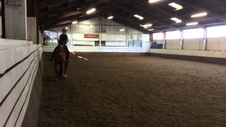 Canter Work with Fanta Left Rein - Zara Myers Dressage