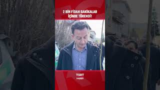 Cami Önünde Dağıtılan Binlerce Fidan Dakikalar İçerisinde Tükendi