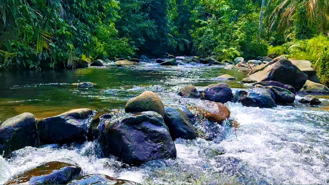 Relaxing river sounds for sleeping, relaxing water sounds for stress relief Asmr for deep sleep