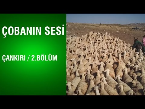 Çobanın Sesi - Çankırı / 2.Bölüm