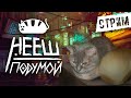 НЕЕШ ПОДУМОЙ | STRAY | СТРИМ