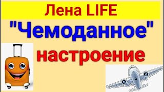 Лена LIFE. Обзор влогов. Кайфушечки не за горами. 25  04 2024 Лена