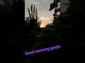 Good Morning ganja heads #cannabis #trending #cannabiseducation #foryou