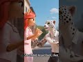 Cartoon Cat Avengers Animals Funny Superhero Cute Meow Unstoppable Youtubeshort Cartoons
