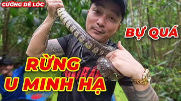 Ký Sự Ở Rừng Quốc Gia U Minh Hạ - Giao Lưu Trải Nghiệm Với Anh Em Săn Bắt Rừng Tràm | Cường Dê Lóc