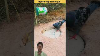 #Pigeon trap technique. #shorts #trap     #funny