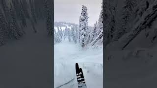 Hey siri, what’s a backslap? This. #skiing #cliff #freestyle #mountains #powder