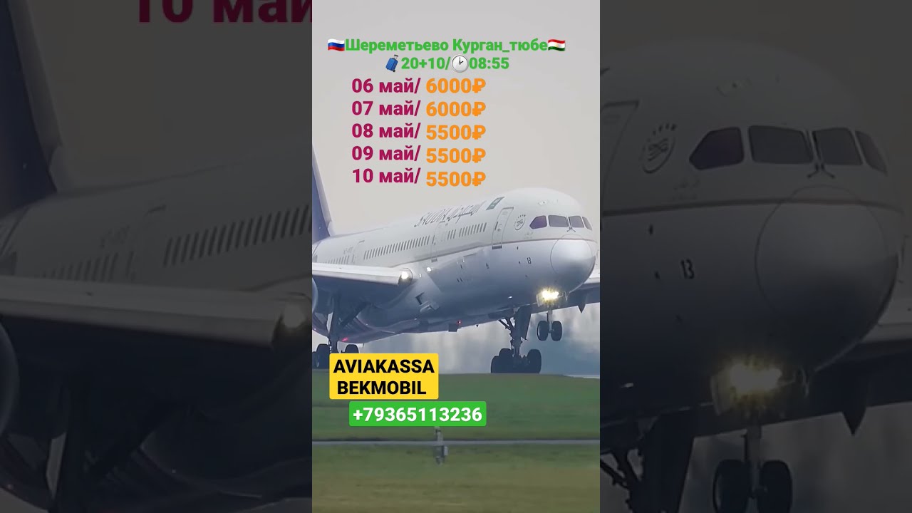 Купить Билет На Самолет Шереметьево Пермь