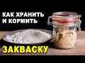 Как хранить и кормить вечную ржаную закваску для хлеба: кормление восстановление после холодильника