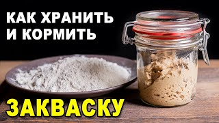 Как хранить и кормить вечную ржаную закваску для хлеба: кормление восстановление после холодильника