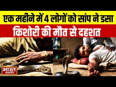 Sambhal: एक महीने में परिवार के 4 सदस्यों को सांप ने काटा, किशोरी की मौत से ग्रामीण में दहशत
