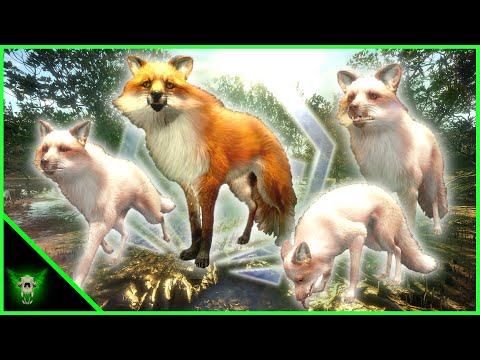 The Emerald Coast G1 Fox Grind So Far, A Diamond and 3 Albinos!