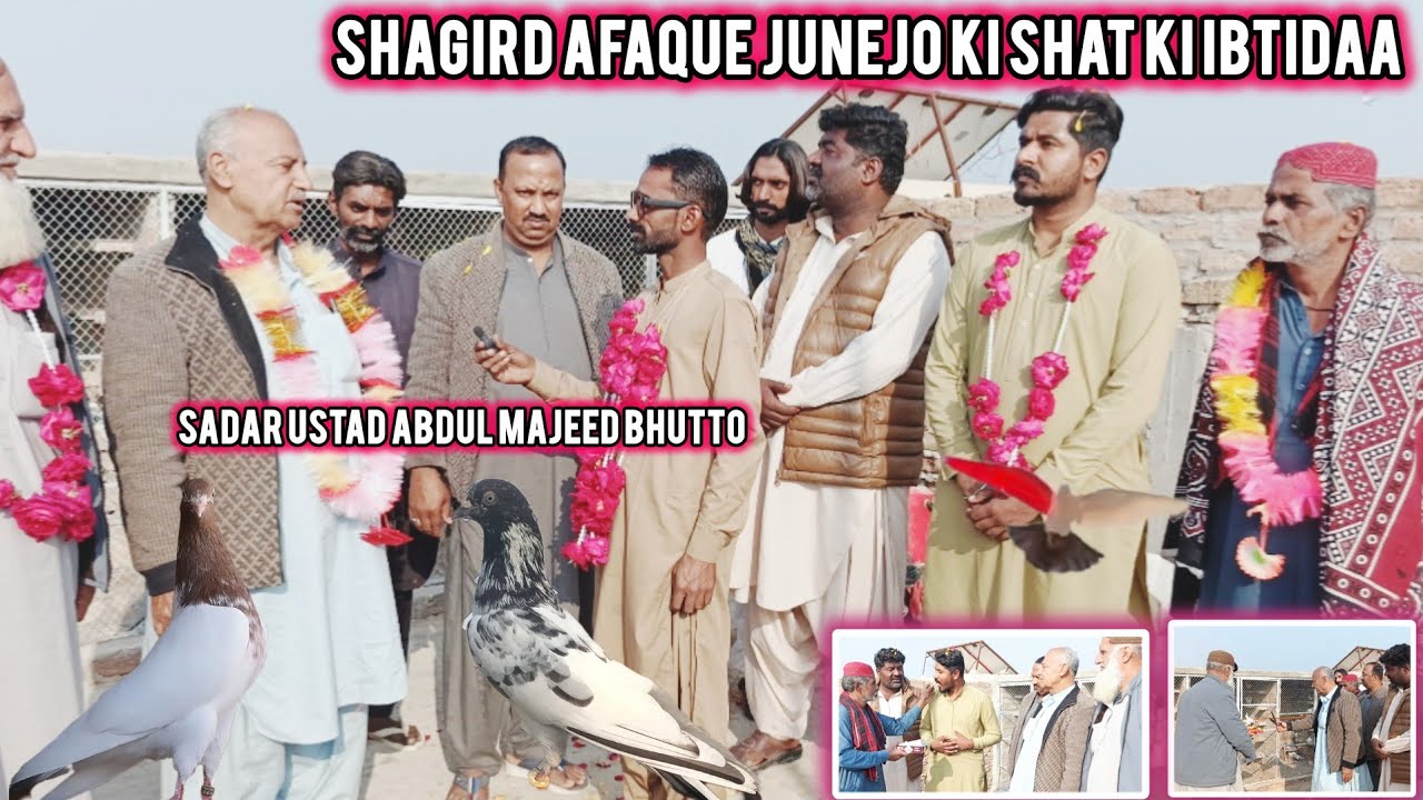 یسوسیشن کی شتھ کی اوپننگ | Larkana Low Fire Pigeons Shagird Afaque Junejo ki Shat ki Ibtidaa