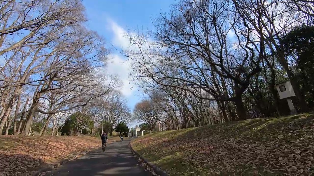 VID 20260114 131242 00 004