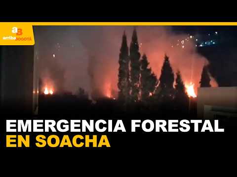 ¿Cómo logró la comunidad enfrentar el fuego antes de los bomberos? | CityTv | ArribaBogotá