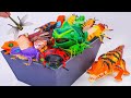ZURU ROBO ALIVE COLLECTION | UNBOXING Robot Crocodile, New Robo Alive Giant Butterfly | ASMR