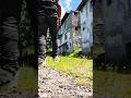 Yolda 493 Damar Dağ inekler ben yol Orman Yağmur Doğa #travel #gezgin #roadtrip #şavşat #gezi #doğa