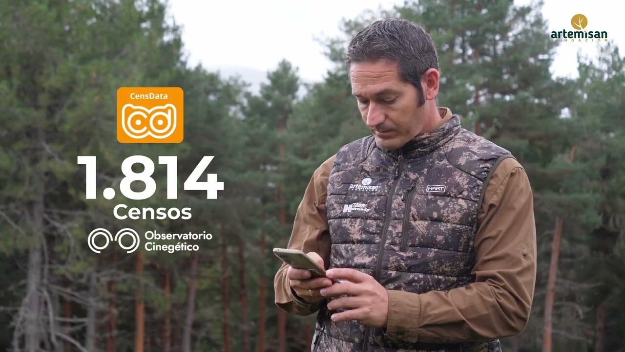 PROYECTO ZORZALES 2024