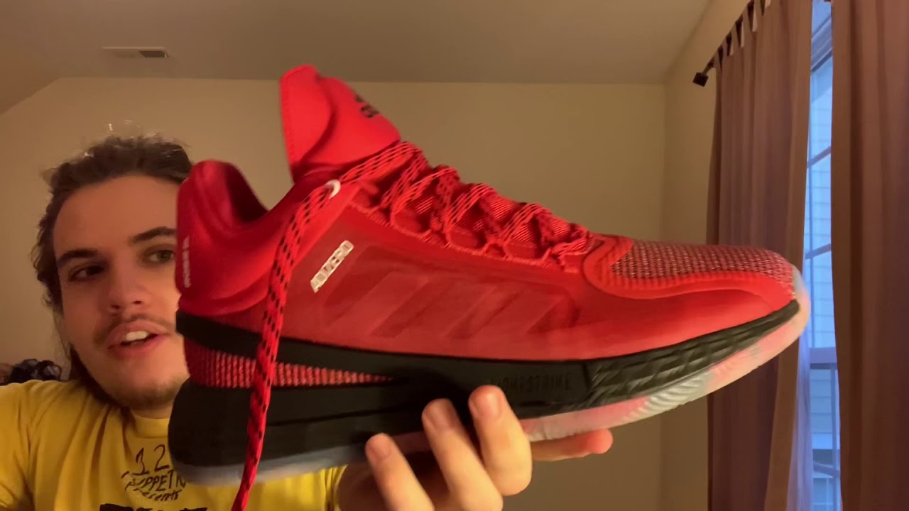 D ROSE 11 REVIEW
