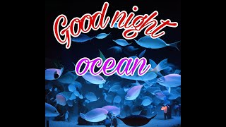 Goodnight Ocean |THE ULTIMATE Calming Bedtime Stories for Babies and Toddlers with Relaxing Music