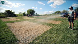 Planting CLOVER on PURPOSE?!?  + First Lawn Seeding of 2022