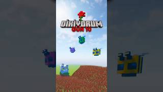 🐝 Gül Sayısı 4.000'i Aştı! (GÜN 10) 🐈 #minecraft #shorts