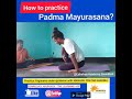 How to practice padma mayurasana