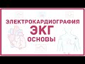 Введение в ЭКГ - основы