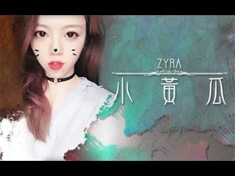 ASMR | 小黄瓜的一小时无人声 睡眠专用 ( Knocking, Rubbing, Ear scratching...)