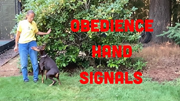Hand Signals to Use When Training Dogs